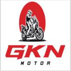 GKN MOTOR